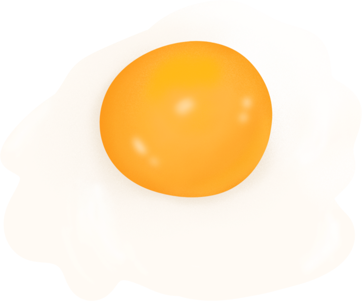 Chicken egg illustration